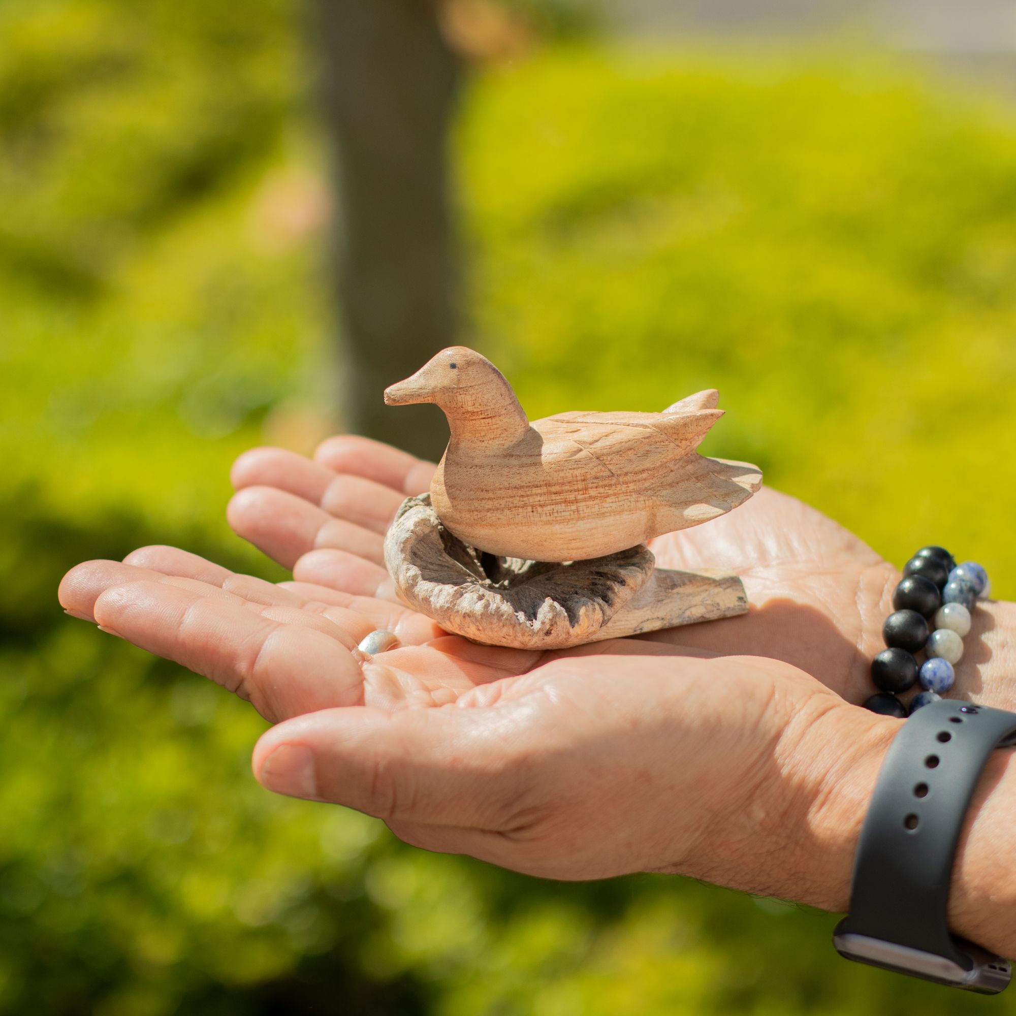 Handmade Parasite Wood Art Carving - Wild Duck Resting