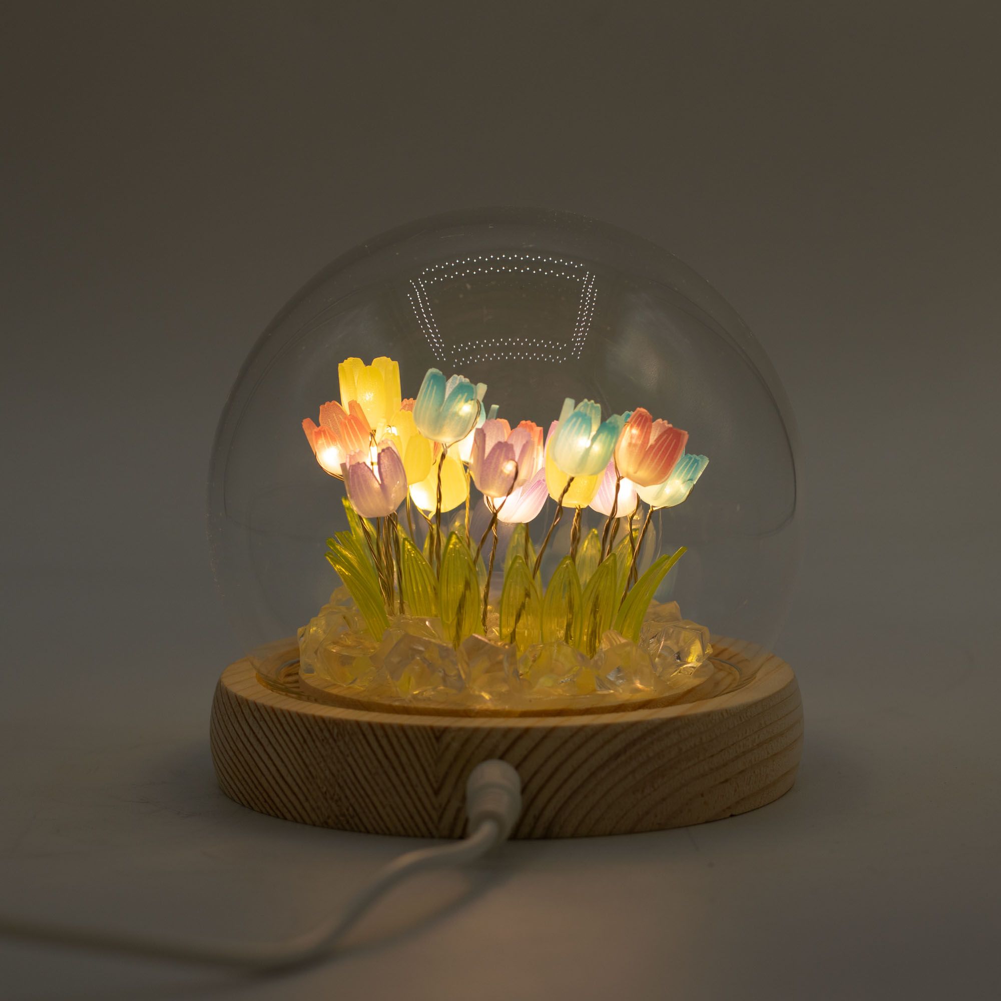 Floral Glow Garden Dome - 20 Multi Tulips - LED USB