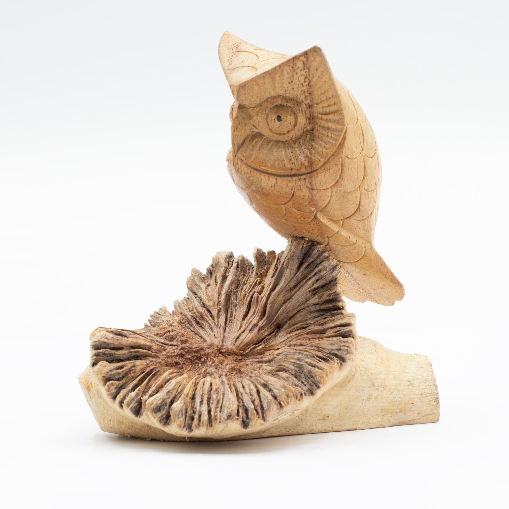 Handmade Parasite Wood Art Carving - Owl Watching