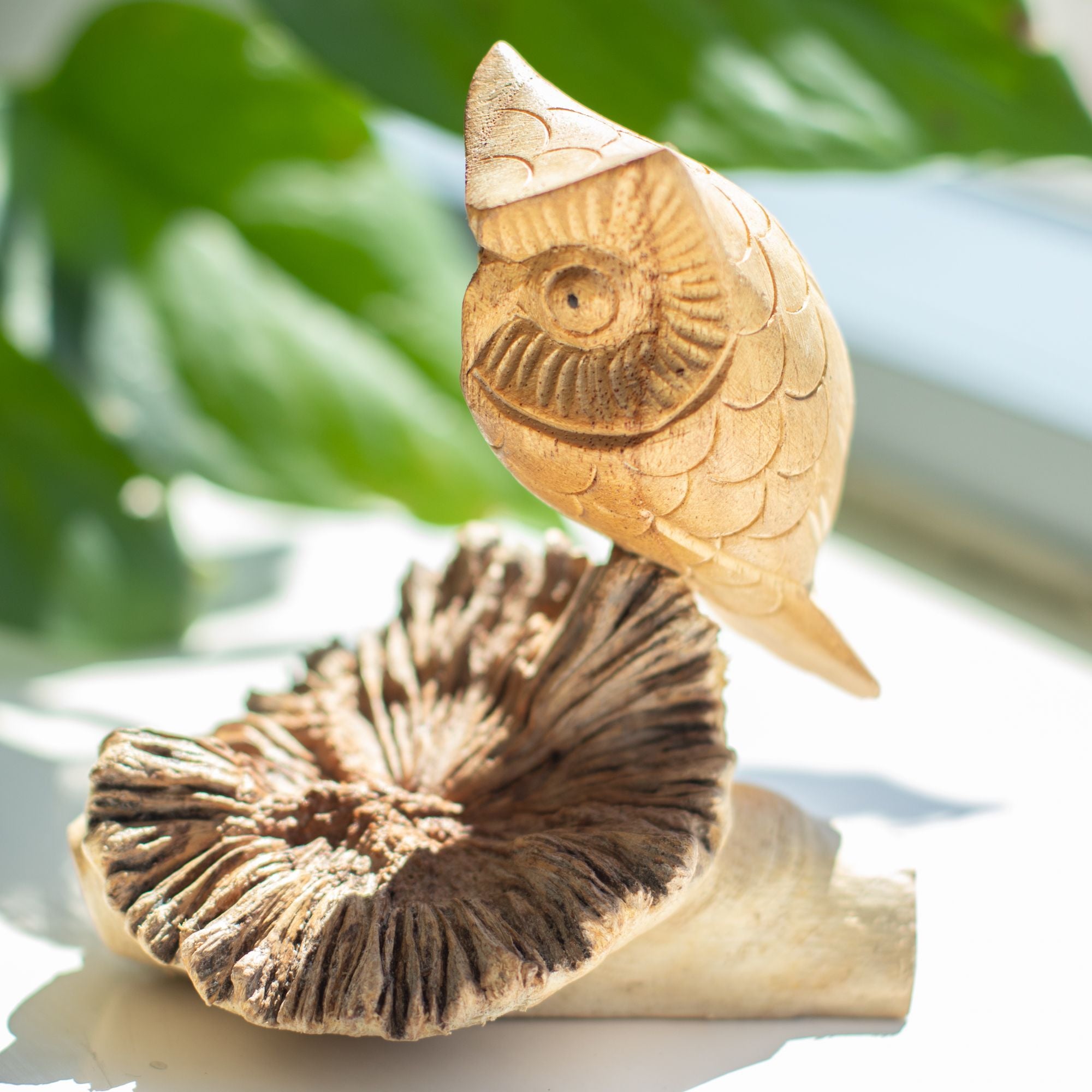 Handmade Parasite Wood Art Carving - Owl Watching