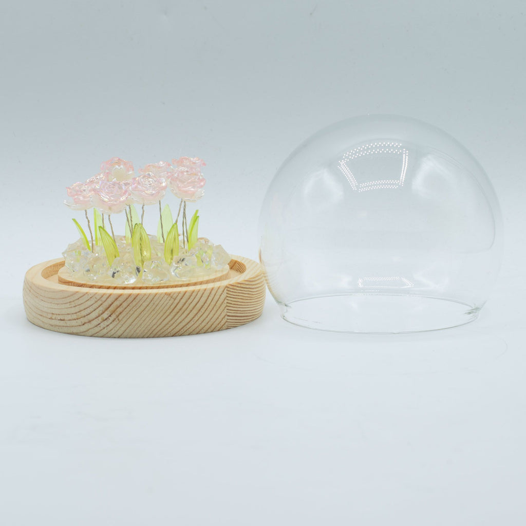 Floral Glow Garden Dome - 10 Pink Roses - LED USB