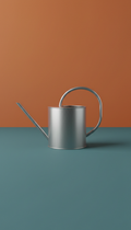 Brushed Metal Watering Can With Slim Spout